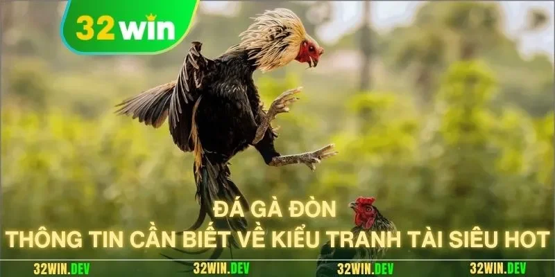 Đá gà đòn